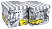 12,0 CF Di SCATOLA CARTONE CM 42X32X32H SET 2PZ COL.019