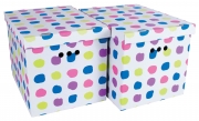 12,0 CF Di SCATOLA CARTONE CM 42X32X32H SET 2PZ COL.003