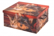 22,0 PZ Di SCATOLA IN CARTONE LUX 40X50XH25 CM FANTASIE ASS