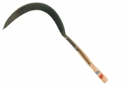 1,0 PZ Di ZENITH SEGHEZZO 776/P C/MAN PVC 54 CM X 41 MM