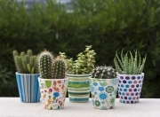 36 PZ Di VASI SMALTATI PER PIANTINE DIAM.CM.7X7H