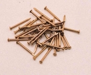 10,0 SC Di SC PUNTE TESTA BOMBATA OTTONE 1,5X18 MM  60 G*