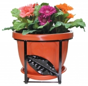 6,0 PZ Di SET BALCONI FIORITI TONDO D 25 CM