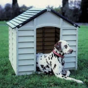 1 PZ Di CUCCIA X CANI PVC 86X84X82H BEIGE CH/VERDE