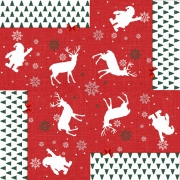 20 ML Di TOVAGLIATO NATALE DIS.330 H140
