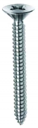 10,0 CE Di VITI PARKER T.S.P. 3,9X13 ZB*