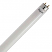 25,0 PZ Di BEGHELLI LED  56233 TUBO T8 W18 CM.120 FREDDA 6500