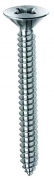 5,0 CE Di VITI PARKER T.S.P. 4,8X13 ZB*
