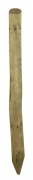 1,0 PZ Di PALO PUNTA IN PINO IMPREGNATO D  6XH300 CM