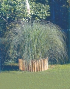 1,0 PZ Di BORDURA IN PINO IMPREGNATO ROTOLO 180XH20 CM