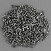 1,0 KG Di SEMENZE N.14**