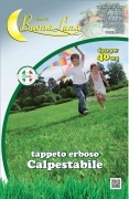 1,0 PZ Di SEMI PRATO CALPESTABILE 1 KG