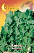 10,0 PZ Di SEMI ORTO RUCOLA COLTIVATA