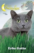 10,0 PZ Di SEMI ORTO ERBA GATTO