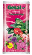 1,0 PZ Di GESAL TERRICCIO UNIVERSALE 10 L