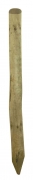1,0 PZ Di PALO PUNTA IN PINO IMPREGNATO D  6XH200 CM