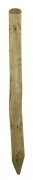1,0 PZ Di PALO PUNTA IN PINO IMPREGNATO D 10XH200 CM