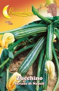 10,0 PZ Di SEMI ORTO ZUCCHINO STRIATO NAPOLI