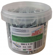 1,0 CF Di ALLFIX 100 TASSELLI CON VITI F4 6X30 MM*