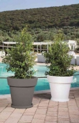 1,0 PZ Di VASO GEMMA D 50XH44 CM GRIGIO
