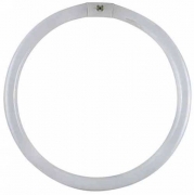 12,0 PZ Di CIRCOLINE FLUO TRIFOSFORI W40 *
