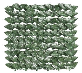 1,0 RT Di ARELLA SEMPREVERDE LAURO BOTTON 1,50X 20 M