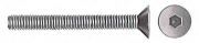 200,0 PZ Di VITI PER BUSSOLA T.S.P. ESAG INCAS  8MA BRUN 40 MM