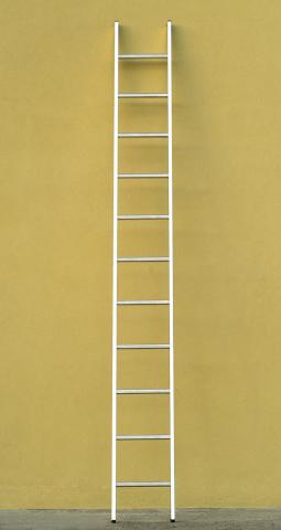 1 PZ Di *SCALA ALL. SEMPLICE 17 GR.MT.5,00