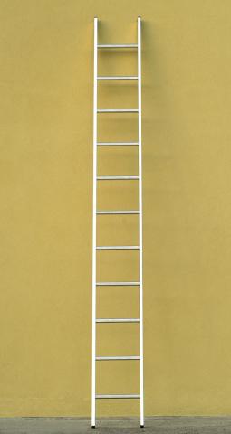 1 PZ Di *SCALA ALL. SEMPLICE 19 GR. MT.5,50