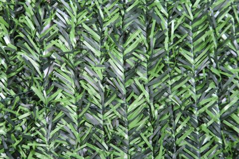 2,0 PZ Di ARELLA SEMPREVERDE ABETE 1,50X3,00 M