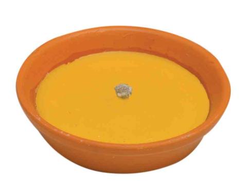 53,0 PZ Di CITRONELLA IN COCCIO ANTIVENTO D 11 CM