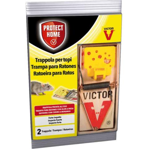 36,0 PZ Di BAYER TRAPPOLE A SCATTO PICCOLE CF.2