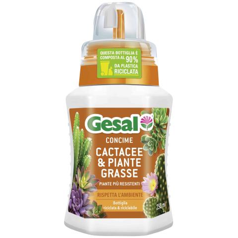 12,0 PZ Di GESAL CONCIME PIANTE GRASSE 250 ML