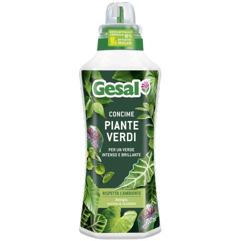 12,0 PZ Di GESAL CONCIME PIANTE VERDI 750 ML