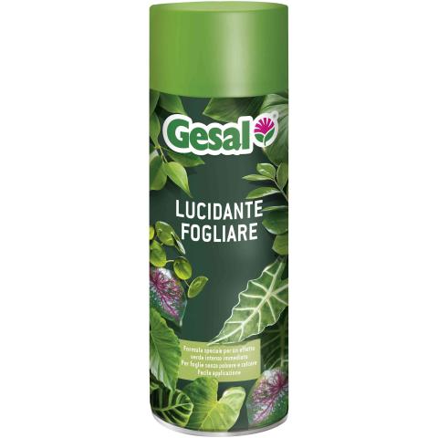 24,0 PZ Di GESAL LUCIDANTE FOGLIARE SPRAY 250 ML