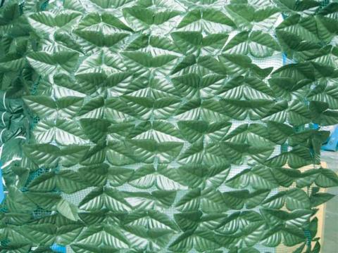 1,0 PZ Di ARELLA SEMPREVERDE LAURO LIGHT 1,00X3,00 M
