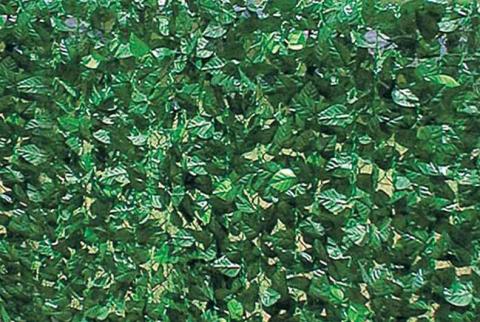 4,0 PZ Di ARELLA SEMPREVERDE LAURO 1X3 M DOPPIA SCHERMATURA