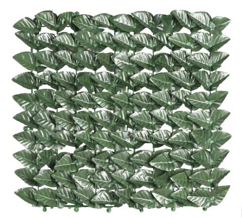 1,0 PZ Di ARELLA SEMPREVERDE LAURO BOTTON 1,5X3,0 M