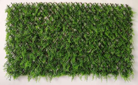 1,0 PZ Di ARELLA CON STECCATO E ERBA SEMPREVERDE 1X2 M