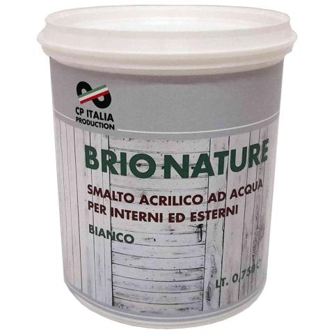 6,0 PZ Di SMALTO SATIN. ALLACQUA BRIO NATURE BIANCO 0,750
