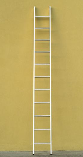 1 PZ Di *SCALA ALL. SEMPLICE 19 GR. MT.5,50