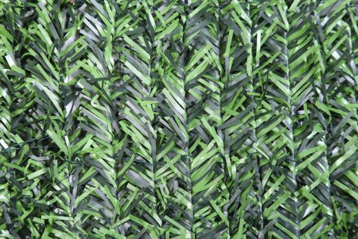 2,0 PZ Di ARELLA SEMPREVERDE ABETE 1,50X3,00 M