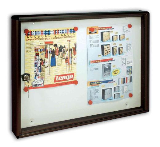 2,0 PZ Di BACHECA FONDO MAGNETICO ALUBOX BC2 55X5X40 GR
