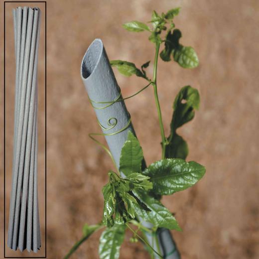 20,0 PZ Di TUTORE IN PVC PER PIANTE VIGNA D 23XH150 CM