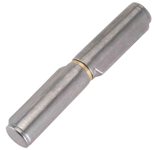 24,0 PZ Di CERNIERA CON COSTA  255 PERNO ACCIAIO 100 MM