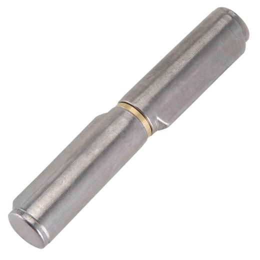 24,0 PZ Di CERNIERA CON COSTA  255 PERNO ACCIAIO 120 MM