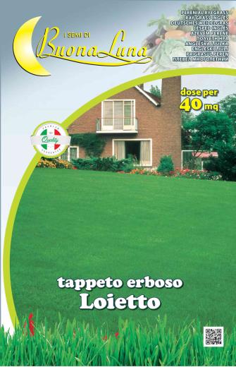 1,0 PZ Di SEMI PRATO LOIETTO 1 KG