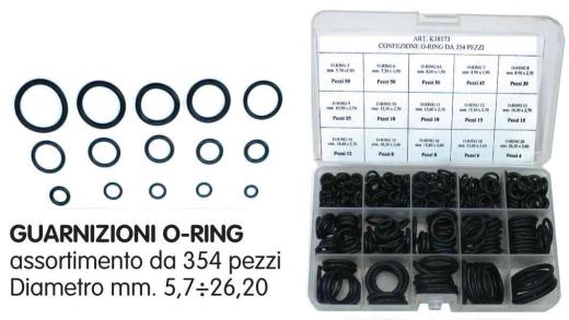 1,0 CF Di CASSETTA O-RING MISTA PZ.354