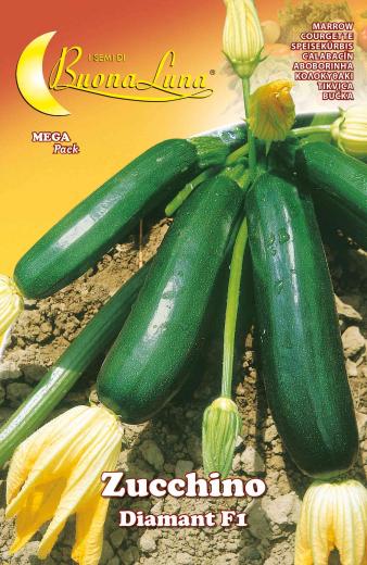 10,0 PZ Di SEMI ORTO ZUCCHINO DIAMANT