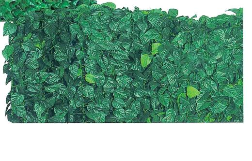 1,0 RT Di ARELLA SEMPREVERDE LAURO 1,50X 20 M
